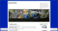 Desktop Screenshot of newny23rd.com